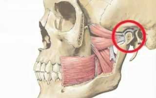 Височно-нижнечелюстной сустав