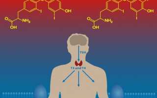 Определение гормонов щитовидной железы